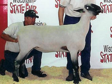 City Limits Winners