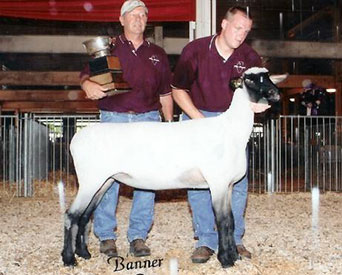 City Limits Winners