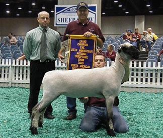 City Limits Winners