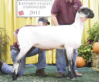 City Limits Winners