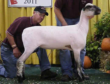 City Limits Winners