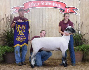City Limits Winners