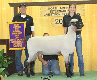 City Limits Winners