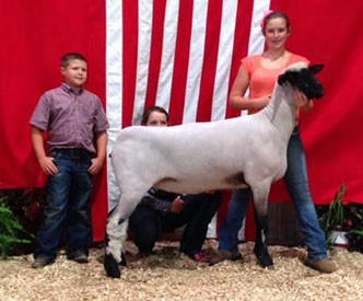 City Limits Winners