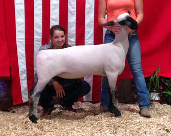 City Limits Winners