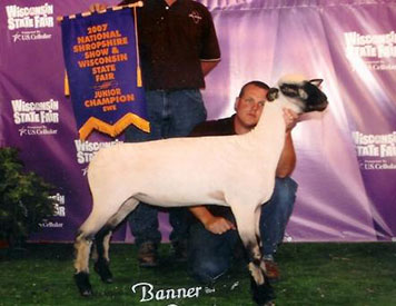City Limits Winners