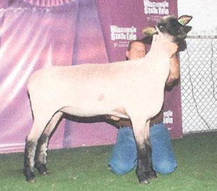 City Limits Winners