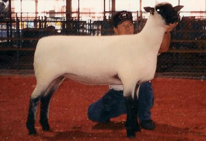 City Limits Winners