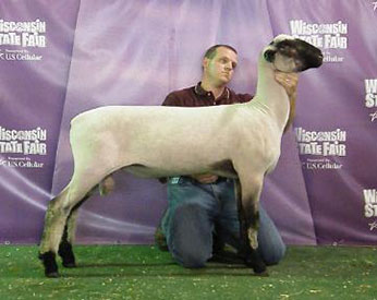 City Limits Winners