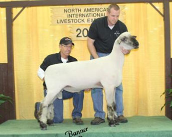 City Limits Winners