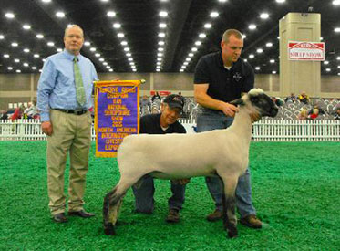City Limits Winners