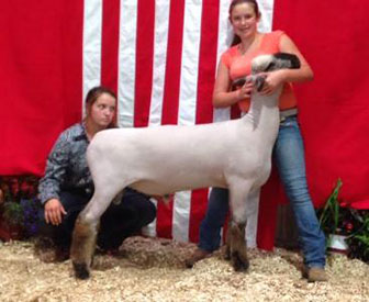 City Limits Winners