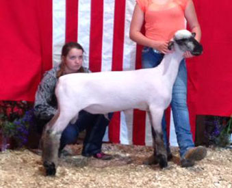 City Limits Winners
