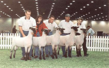 City Limits Winners