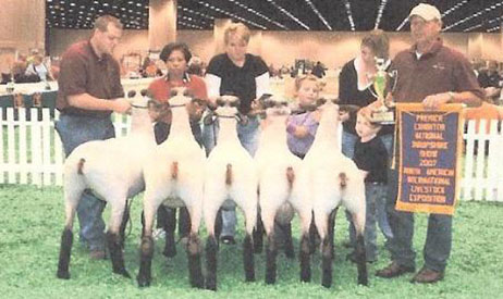 City Limits Winners