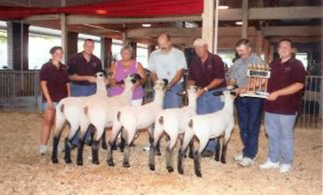 City Limits Winners
