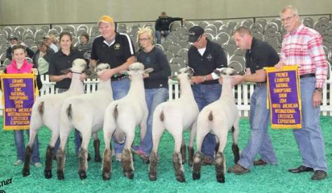 City Limits Winners