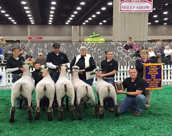 City Limits Winners