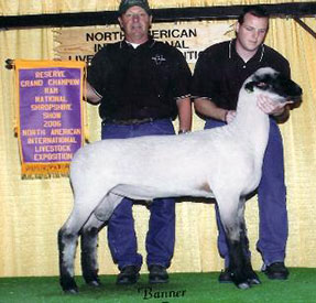 City Limits Winners