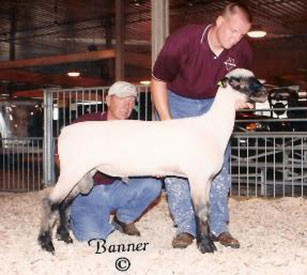 City Limits Winners
