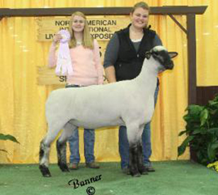 City Limits Winners