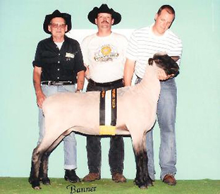 City Limits Winners