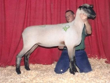 City Limits Winners