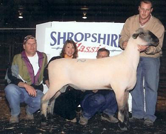 City Limits Winners