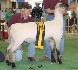 City Limits Winners