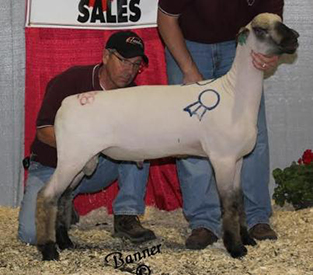 City Limits Winners