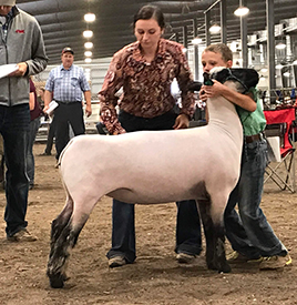 City Limits Winners