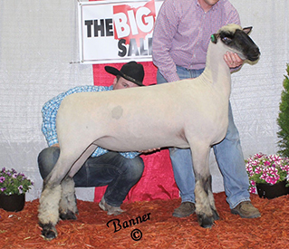 City Limits Winners