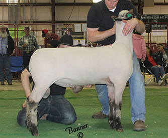 City Limits Winners
