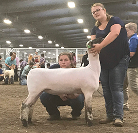 City Limits Winners
