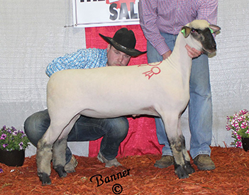 City Limits Winners