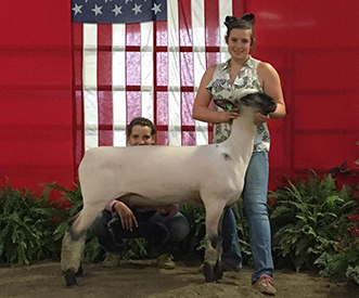 City Limits Winners