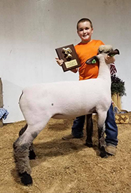 City Limits Winners
