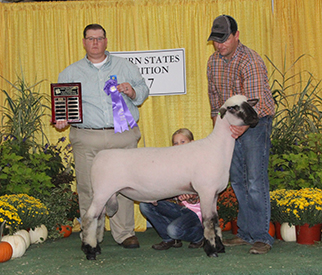 City Limits Winners