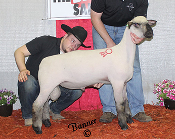 City Limits Winners