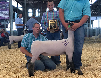 City Limits Winners