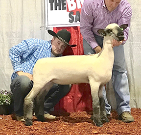 City Limits Winners