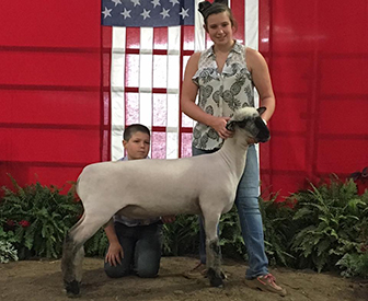 City Limits Winners