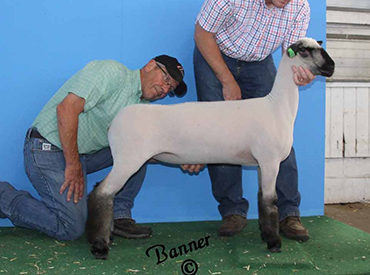 City Limits Winners