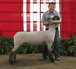 City Limits Winners