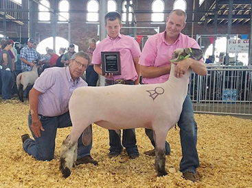City Limits Winners