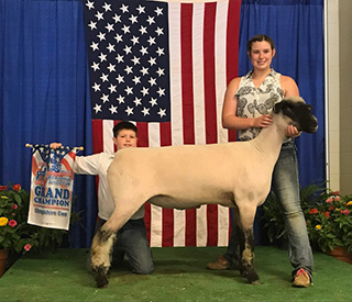 City Limits Winners