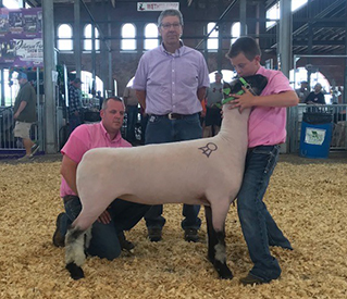 City Limits Winners