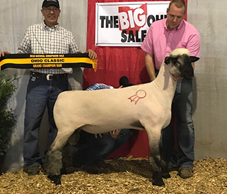 City Limits Winners