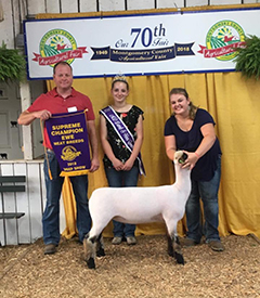 City Limits Winners