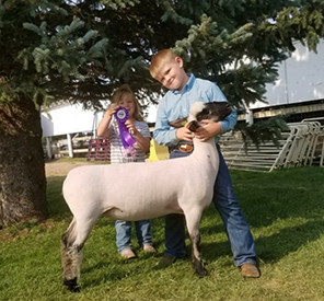 City Limits Winners